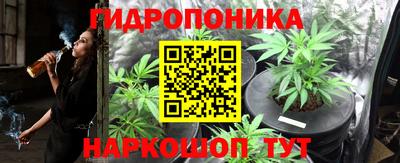 крисы Кинель
