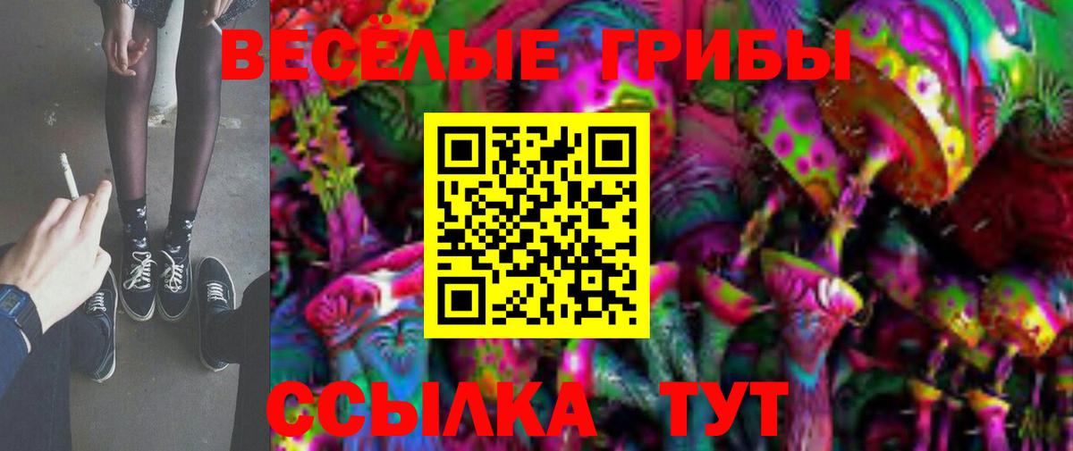 Псилоцибиновые грибы мицелий  Вход с VPN  даркнет сайт  Псилоцибиновые грибы мицелий  Кунгур 