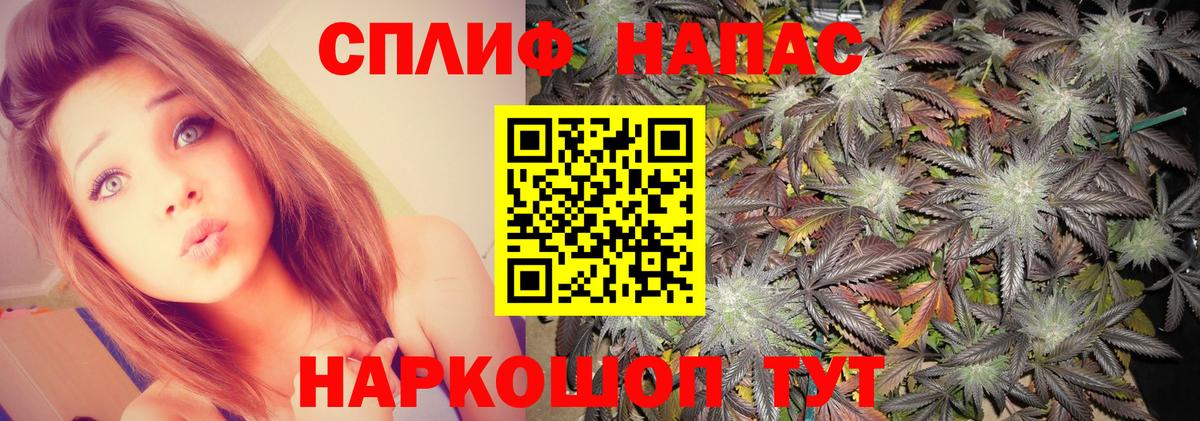 Канабис сатива Кунгур